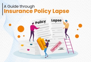 A guide through insurance policy lapse